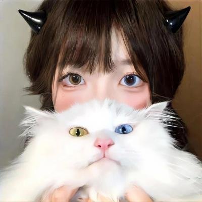肥龙过江